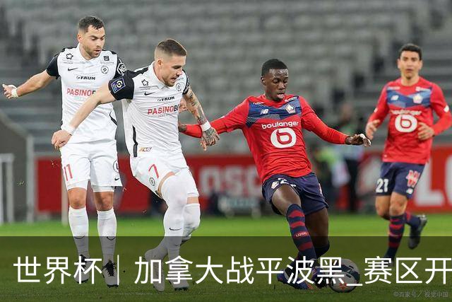 世界杯｜加拿大战平波黑 赛区开幕式表演“翻车”